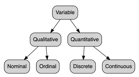 one quantitative variable statistics